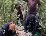 Paraná: Caçador fica ferido e precisa de transfusão de sangue no meio da mata