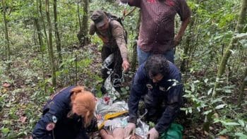 Paran&aacute;: Ca&ccedil;ador fica ferido e precisa de transfus&atilde;o de sangue no meio da mata