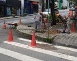 Após constantes acidentes, semáforo é instalado entre a Rua Pernambuco e Av. Rio Grande do Sul