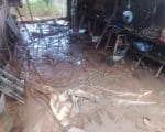 Divin&oacute;polis: C&oacute;rrego transborda e invade casa no bairro Primavera