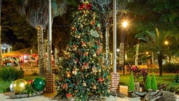 Dia 06/01 marca momento de desmontar decora&ccedil;&atilde;o de Natal; saiba por qu&ecirc;