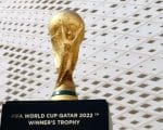 Operadoras lançam odds especiais para as semifinais e a grande final da Copa do Mundo 2026