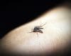 Casos de Dengue indicam um desafio crescente em Divinópolis
