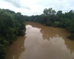 Rio Itapecerica: Chuva permanece em Divinópolis e deixa moradores em alerta