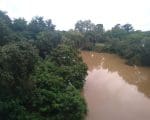 Após o grande volume de chuvas nos últimos 30 dias saiba como está o nível do rio Itapecerica e a possibilidade de enchentes.