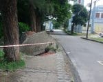 Chuva em Divinópolis provoca queda de árvore próximo ao Teatro Gravatá; veja fotos