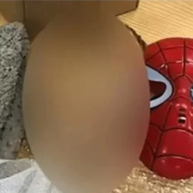 Cabeça decapitada é encontrada em máscara do Homem-Aranha enviada pelo correio na Argentina