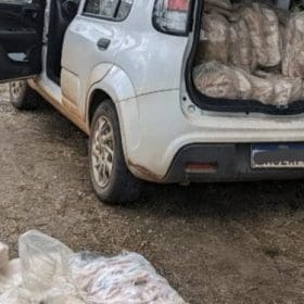 Homem que transportava tilápia sem refrigeração no veículo é preso em Pouso Alegre