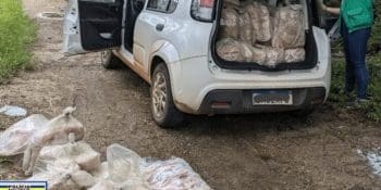Homem que transportava til&aacute;pia sem refrigera&ccedil;&atilde;o no ve&iacute;culo &eacute; preso em Pouso Alegre