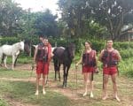 Bombeiros salvam cavalo afogado em açude no Jardim Primavera em Divinópolis