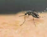 Dengue hemorrágica causa primeira morte em Formiga em 2023
