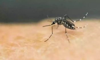 Dengue hemorrágica causa primeira morte em Formiga em 2023