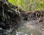 No dia mundial da &aacute;gua advogada especialista da &aacute;rea alerta para o uso correto de recursos h&iacute;dricos