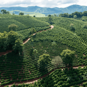 Exporta&ccedil;&otilde;es do agro mineiro alcan&ccedil;am US$ 1,8 bilh&atilde;o no primeiro bimestre do ano