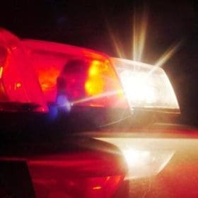 Mais um motorista bêbado atropela animal na rodovia entre Divinópolis e Carmo do Cajuru