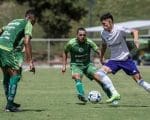 Cruzeiro ter&aacute; &ldquo;tour&rdquo; nas estreias da Copa do Brasil e Brasileir&atilde;o
