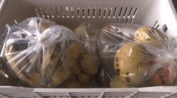 Banco de alimentos atende mais de 10 mil pessoas em Divin&oacute;polis