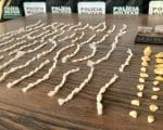 Pomp&eacute;u: Ap&oacute;s den&uacute;ncia, homem &eacute; detido com mais de 250 pedras de crack