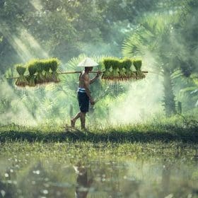 Rascunhos da Vida: Minha eterna curiosidade…