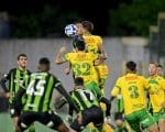 Coelho precisa da vit&oacute;ria na Sul-Americana. Am&eacute;rica x Defensa y Justicia