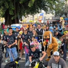 Estão abertas as inscrições para o desfile PET no aniversário de Divinópolis