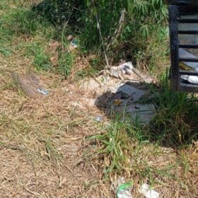 Após vídeo de cobra, leitores do MPA denunciam lotes sujos em outros pontos de Divinópolis