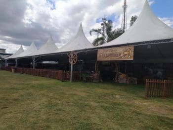 Divinaexpo 2024: confira detalhes sobre rodeio em carneiros