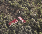 Aeronave pilotada por empresário cai em mata de Timóteo, no Vale do Rio Doce
