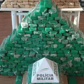 PM encontra 320 kg de maconha em mata da MG-290, no Sul de Minas