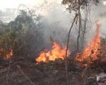 Corpo de Bombeiros alerta para período de incêndios e queimadas em vegetação