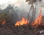 Corpo de Bombeiros alerta para per&iacute;odo de inc&ecirc;ndios e queimadas em vegeta&ccedil;&atilde;o