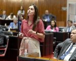 Deputada exige da prefeitura detalhamento do uso de recurso enviado para sa&uacute;de