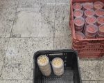Procon realiza fiscalização em supermercado de Divinópolis