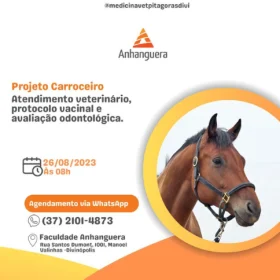 Projeto da Faculdade Anhanguera promove atendimento veterinário gratuito em Divinópolis