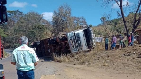 Carreta tomba e 30 cabeças de gado morrem em Martinho Campos