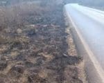 Trio é preso por atear fogo em vegetação em Piumhi; multa é de mais de R$5 mil
