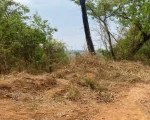 Corpo é encontrado em estrada vicinal de Marilândia
