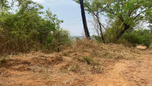 Corpo é encontrado em estrada vicinal de Marilândia