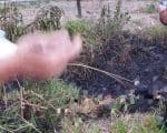 Homem encontrado carbonizado em Divinópolis estava amarrado e com saco na cabeça