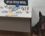 Nova Serrana: Com ajuda do c&atilde;o farejador, PM prende homem com mais de 60 buchas de maconha