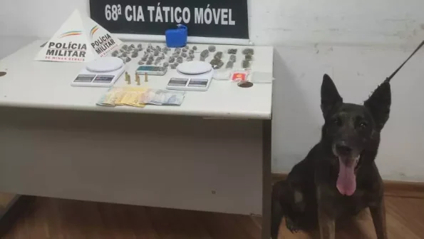 Nova Serrana: Com ajuda do c&atilde;o farejador, PM prende homem com mais de 60 buchas de maconha