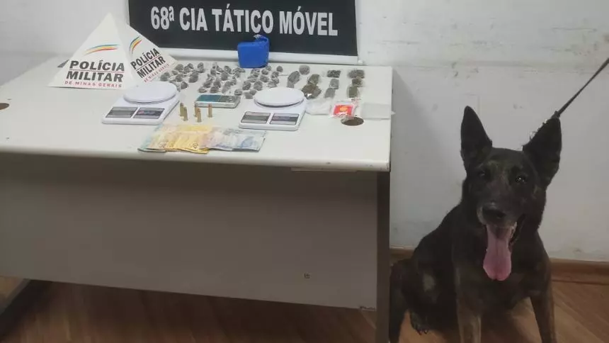 Nova Serrana: Com ajuda do cão farejador, PM prende homem com mais de 60 buchas de maconha