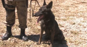PM de Divin&oacute;polis recebe novo c&atilde;o de faro