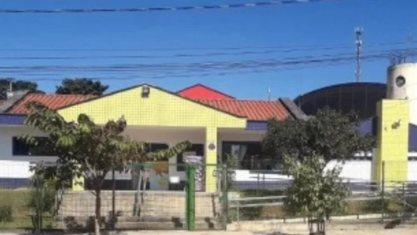 Enxame de zangões acomete Cmei do São Roque