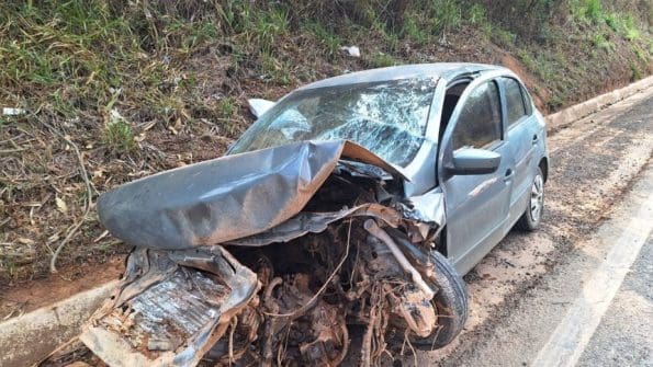 Motorista tenta desviar de cachorro e bate em barranco em Iguatama