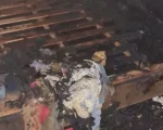 Formiga: Corpo de Bombeiros combate incêndio em apartamento