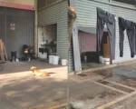 Prefeitura afirma acompanhar fam&iacute;lias em acampamento no Mercado distrital de Divin&oacute;polis