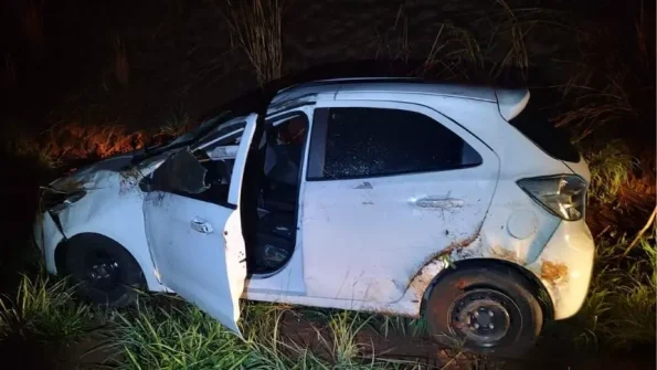 Motorista atropela capivara e carro capota na MG-050