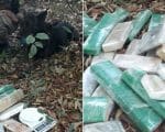 Divinópolis: PM encontra grande quantidade de drogas no São Judas
