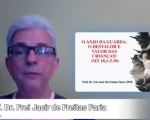 O Anjo da Guarda na reflexão de Frei Jacir